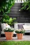 vibia campana carré 30cm terre cuite